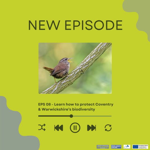 CW Green Business Programme Podcast - Episode 8