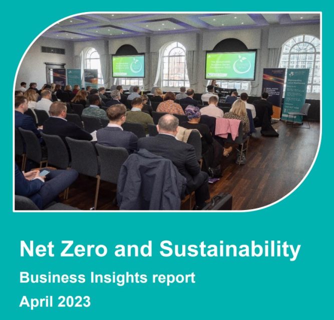 Net Zero and Sustainability Business Insights report April 2023