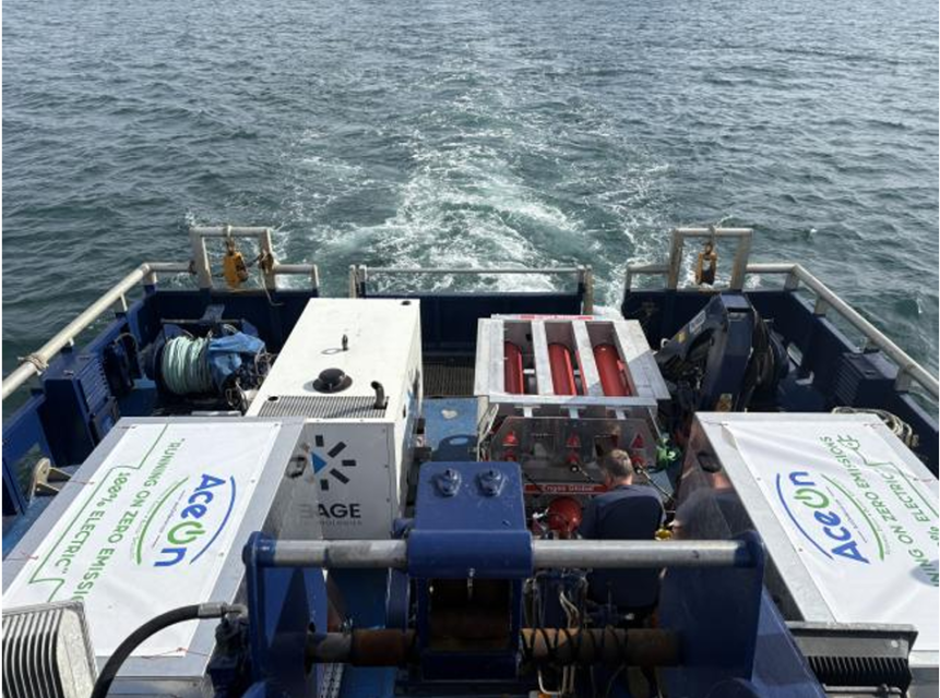 AceOn marine batteries