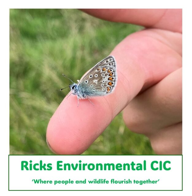 46f11f87 5976 4406 b421 c09d0e63326e